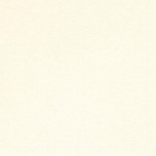 Villa Nova Kasian Alabaster V3175/35 textured satin swatch