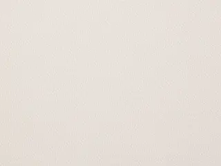 Mermet T Screen 1% shade fabric swatch in White | White (A02A02 1%)