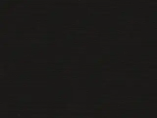 Mermet Zora Twilight shade fabric swatch in Black | Black (060060)