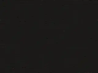 Mermet Zora Twilight shade fabric swatch in Black | White (060002)