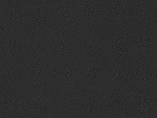 Phifer SheerWeave 7300 Blackout shade fabric swatch in Raven (7300 PB8)