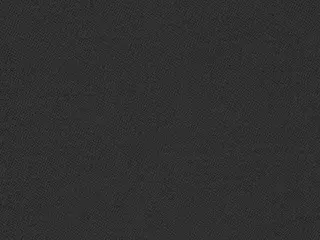 Phifer SheerWeave 7350 Light-Filtering shade fabric swatch in Raven (7350 PB8)
