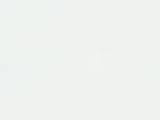 Phifer SheerWeave 7500 Blackout shade fabric swatch in Ice (7500 R13)