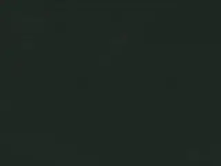 Phifer SheerWeave 7500 Blackout shade fabric swatch in Midnight x2 (7500 R99)
