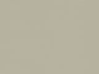 Phifer SheerWeave 7500R Blackout shade fabric swatch in Dune (7500R R51)